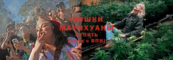 тгк Краснослободск