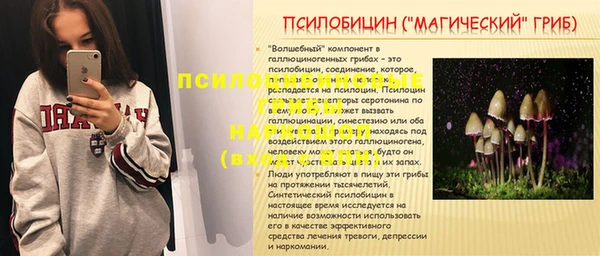 а пвп мука Надым